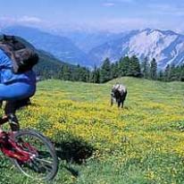 Ötztal Mountain Riders Trail  [mehr Info...]