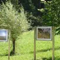 Bildergalerie am Piburgersee Info....